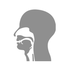 icon_brush.png